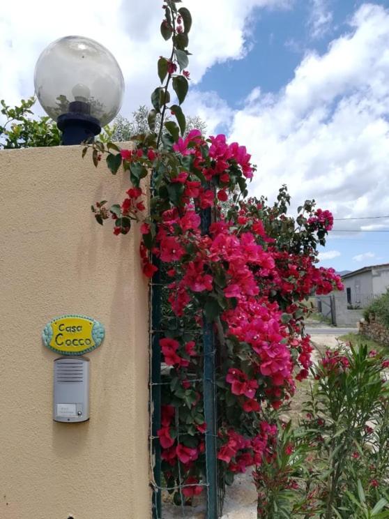 Casa Cocco Apartment Sant Isidoro  Exterior photo