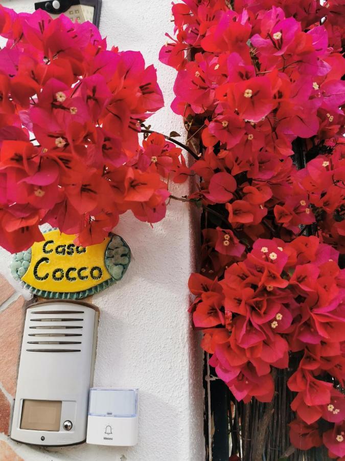 Casa Cocco Apartment Sant Isidoro  Exterior photo